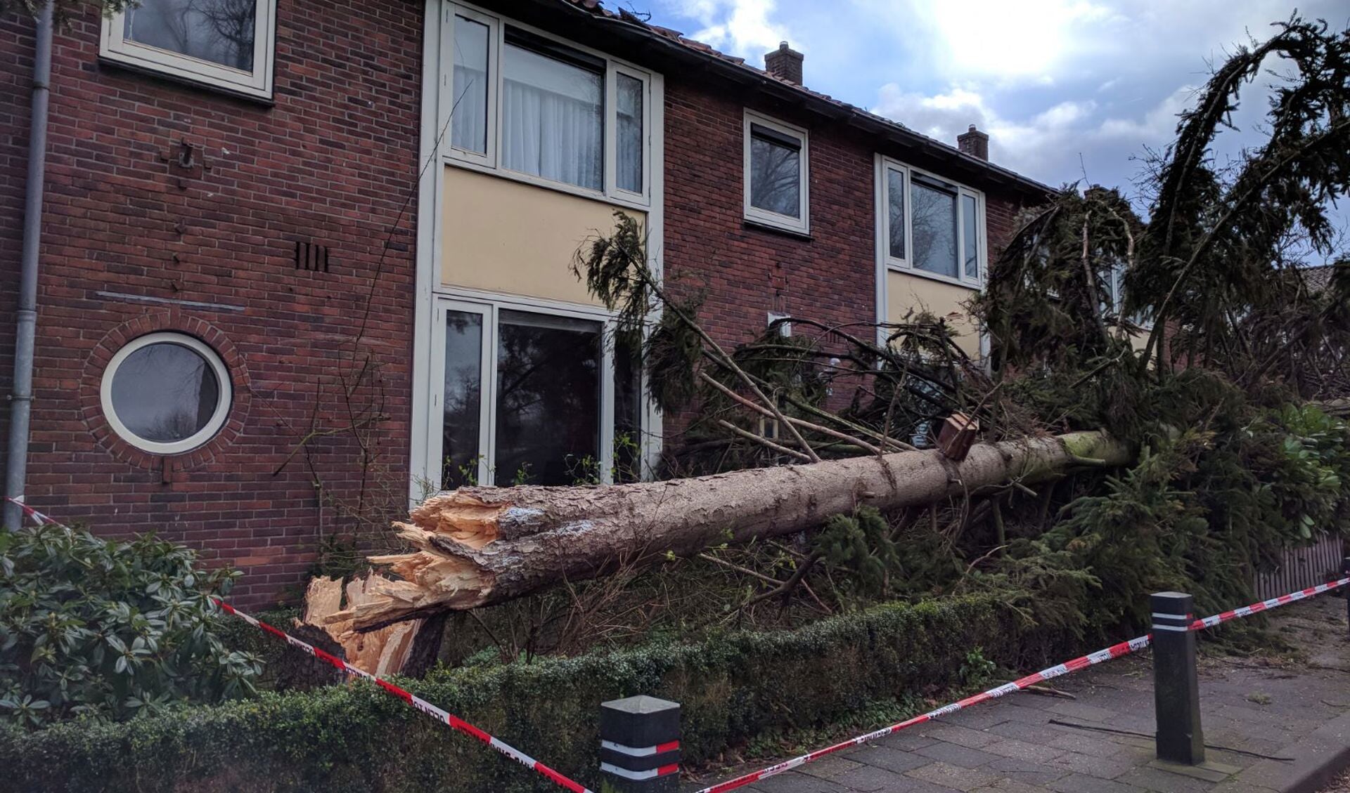 Aan het Singel zorgde een omvallende boom voor schade aan het dak van de buren. 