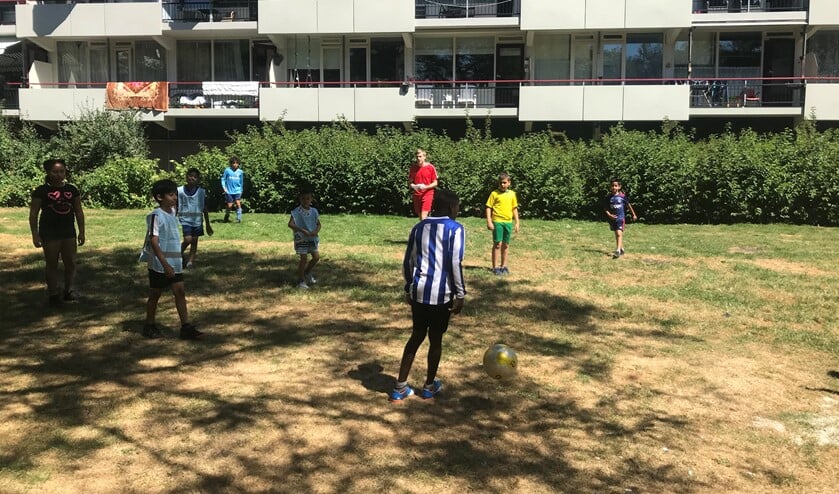 Op de Rode Kruislaan komt een Tiny Forest.