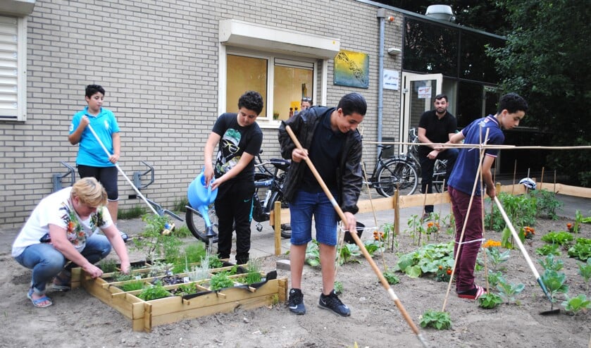 De buurtmoestuin aan de Sportparklaan is een van de concrete resultaten van het buurtpanel.