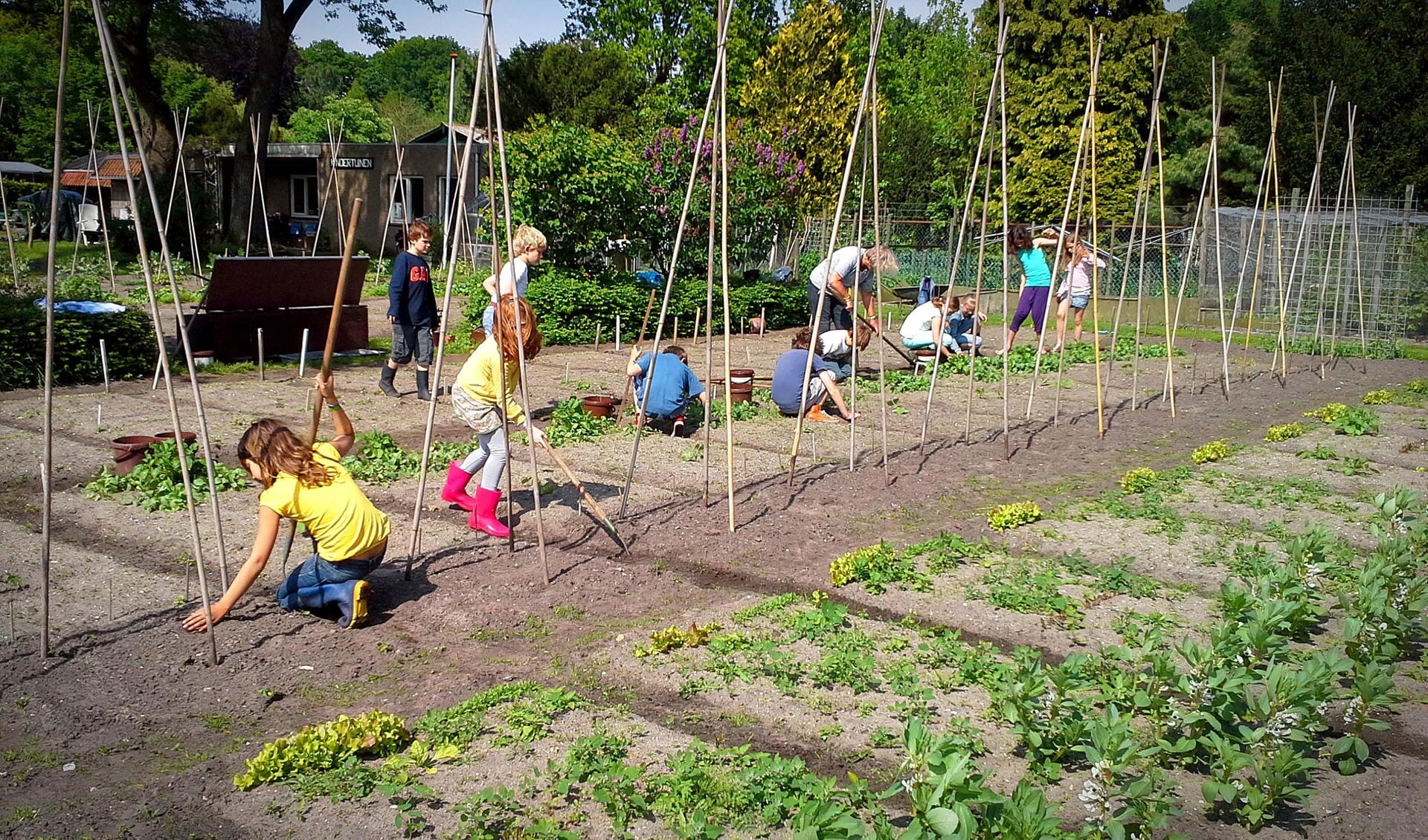 Kinderen leren hun eigen tuintje te bewerken.