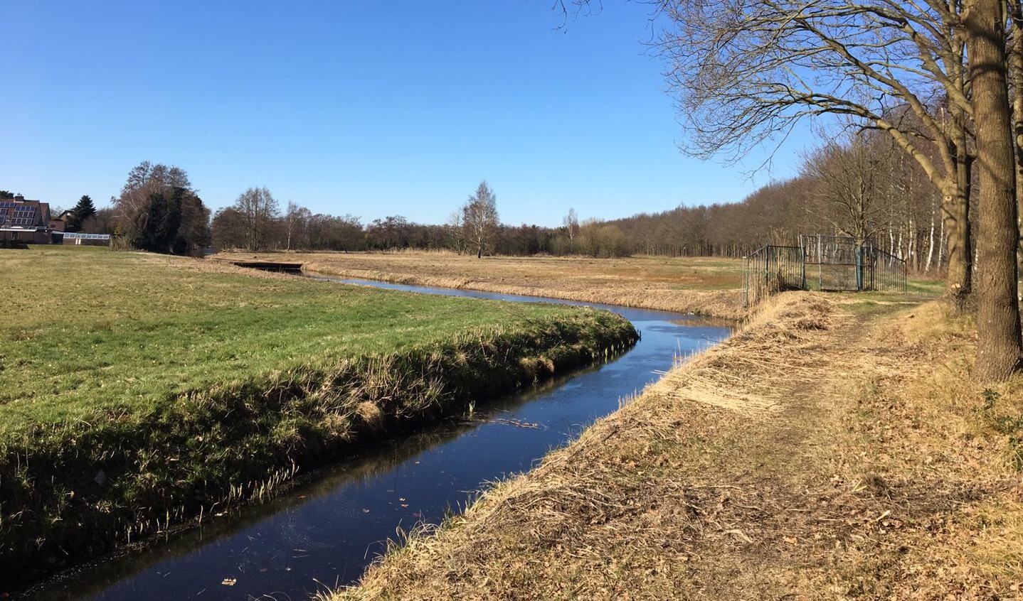 De BOR-gronden.