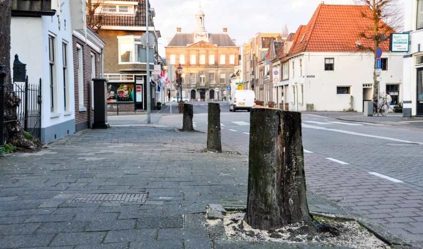 Het ziet er troosteloos uit, maar na de herinrichting van de weg komen er nieuwe bomen voor terug.
