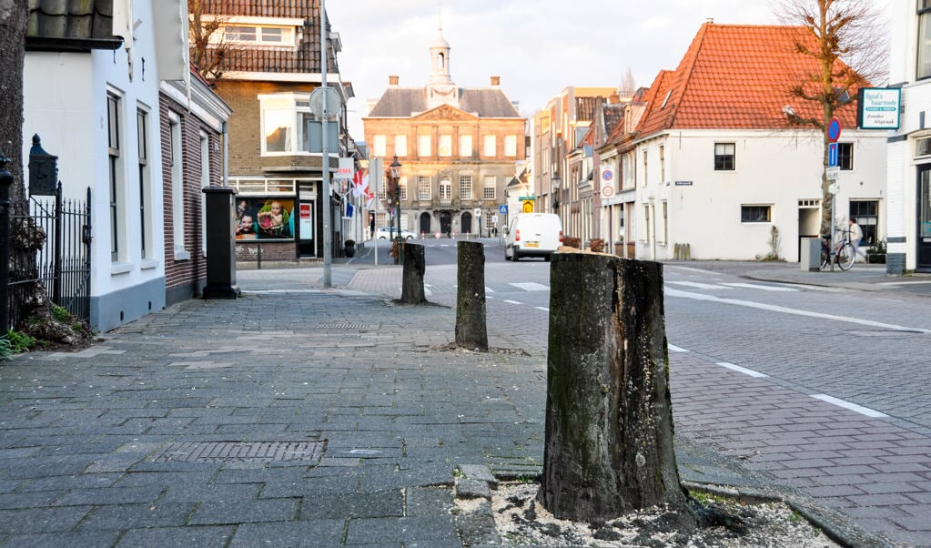 Het ziet er troosteloos uit, maar na de herinrichting van de weg komen er nieuwe bomen voor terug.