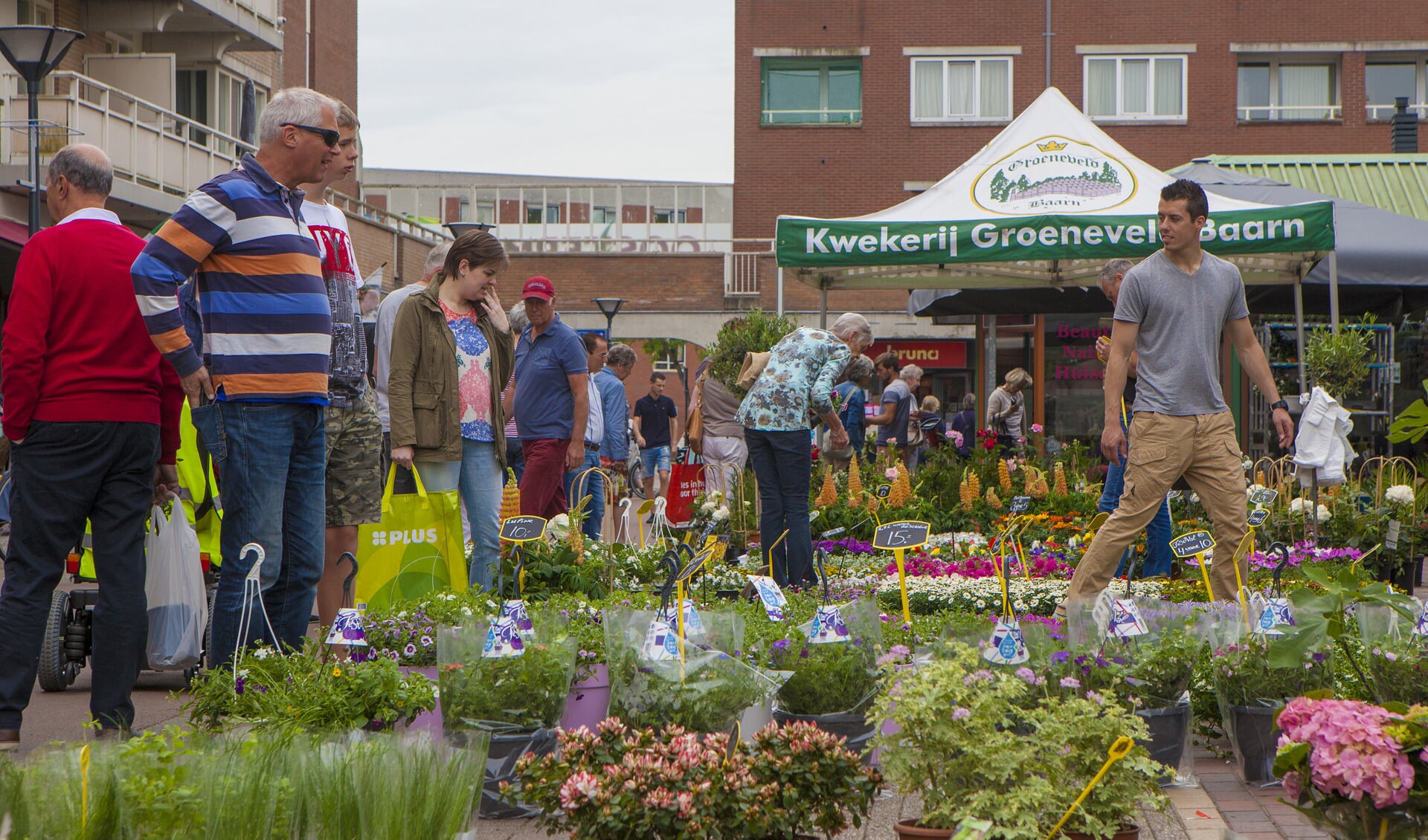 Groei & Bloei organiseert weer een Voorjaars Plantenmarkt.