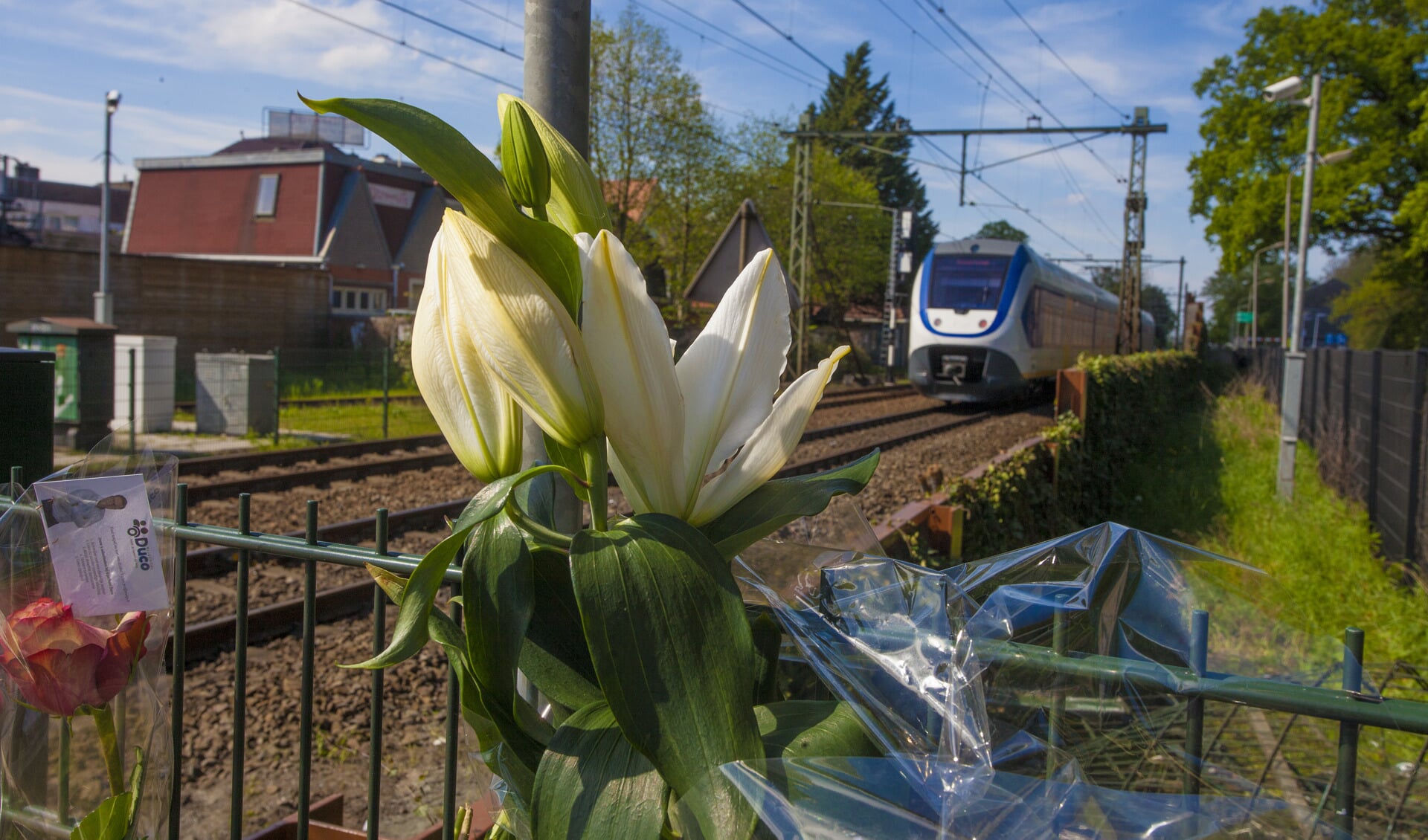 Bloemen als eerbetoon aan het overleden slachtoffer langs het spoor. 