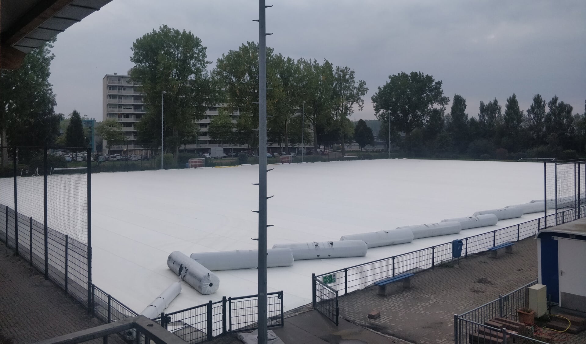 Het veld kleurt nog niet groen. 