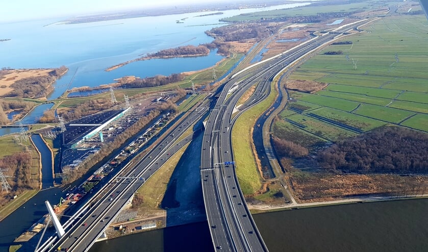 <p>In het moerasgebied op de plek van de oude snelweg zullen dit voorjaar acht waterbuffels rondlopen.</p>