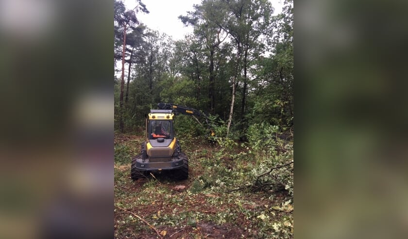 De bomenkap in Monnikenberg is inmiddels al even aan de gang