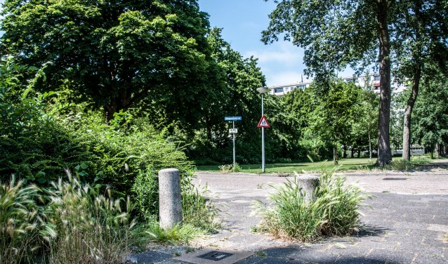 Extra geld om het bestrijden van onkruid natuurvriendelijker te maken.