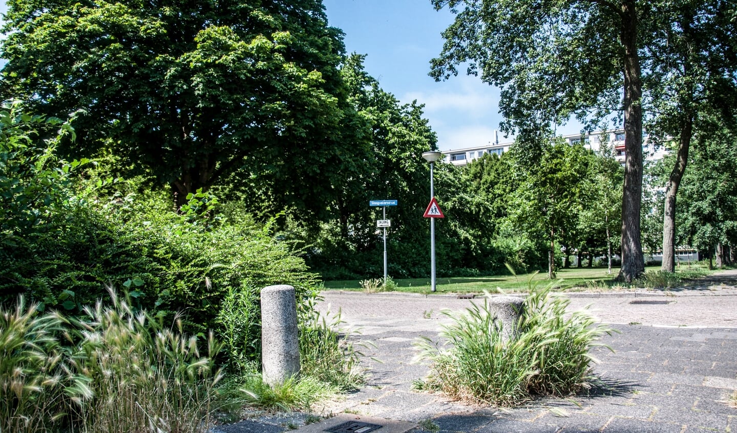 Extra geld om het bestrijden van onkruid natuurvriendelijker te maken.