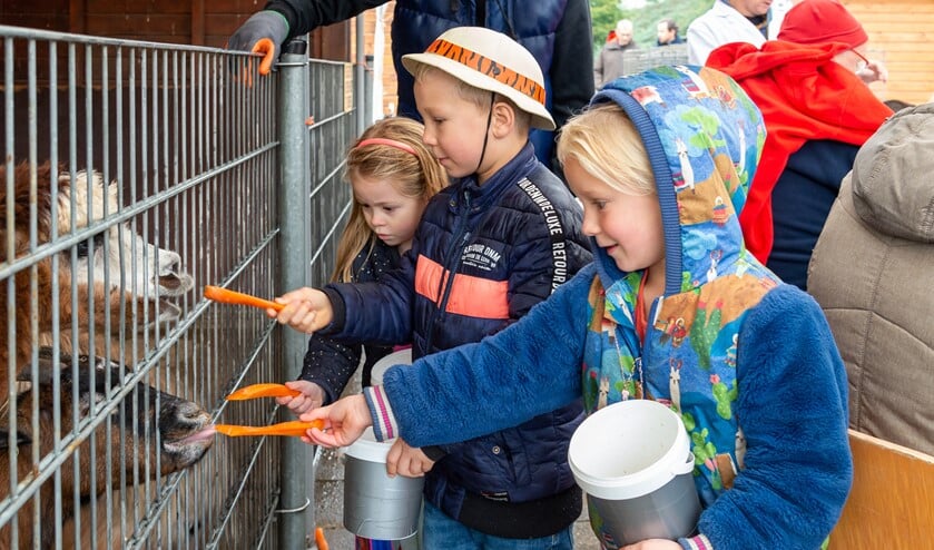 Kinderen geven dieren voer.