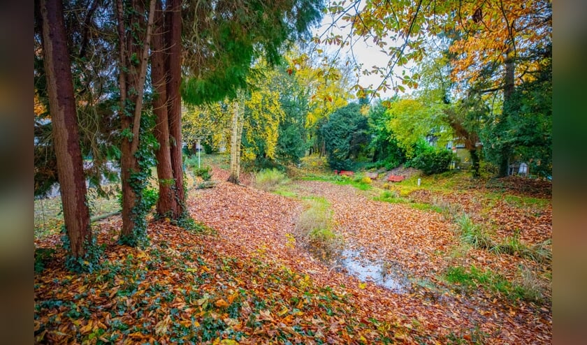 Het park waar vorig jaar de bomenkap - legaal of illegeaal - plaatsvond.