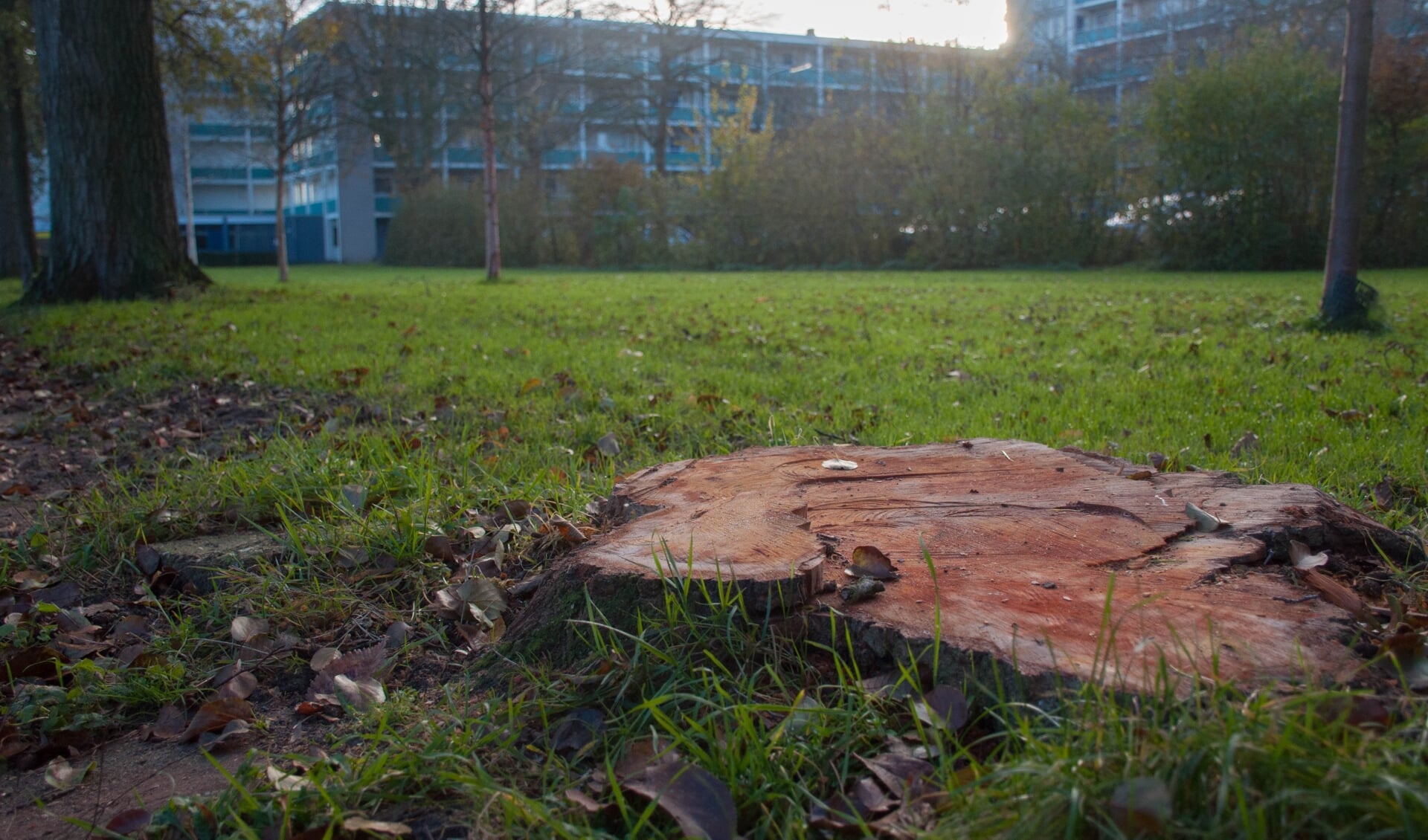 Het terrein waar de woningen zijn gepland.