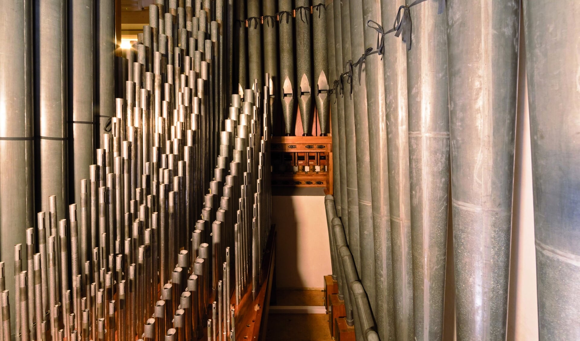 Het metalen pijpwerk van het orgel. 