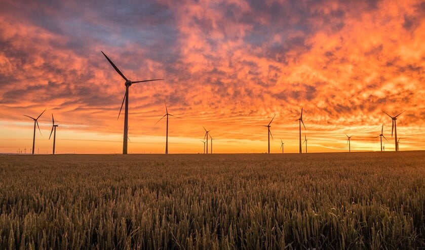De natuurorganisatie gaat lobbyen bij de gemeenten om niet in te stemmen met windturbines en zonnevelden in haar gebied.