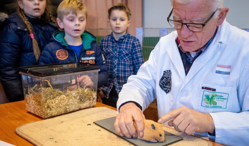 Het werk van de keurmeester wordt aanschouwt door de kinderen.
