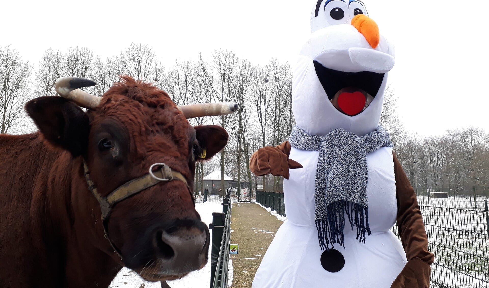 Olaf uit Frozen is ook van de partij tijdens het winterfeest!