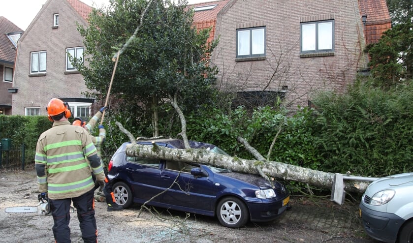 De brandweer haalt de omgewaaide boom weg.
