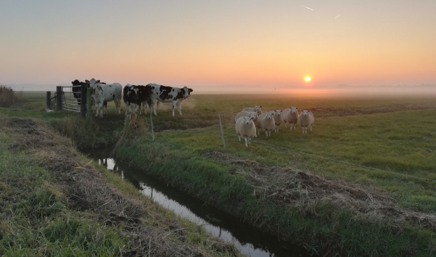 <p>Het is belangrijk om de sloten gevuld te houden met water.</p>