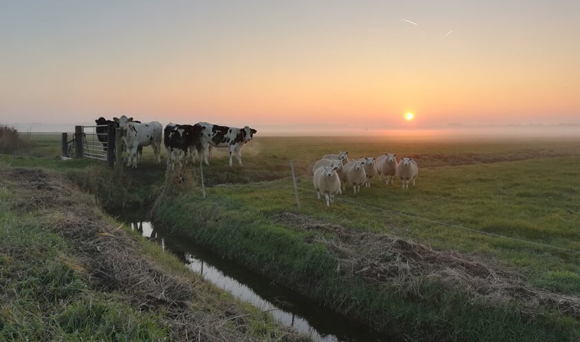 <p>Het is belangrijk om de sloten gevuld te houden met water.</p>