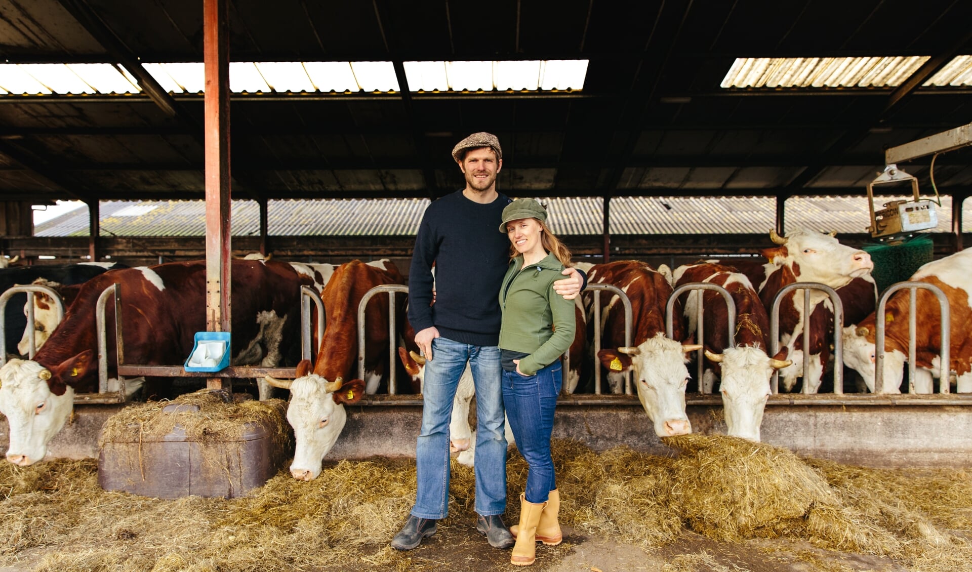 De Groene Griffioen doet ook mee. 30 Weespers kunnen een koe van deze boerderij delen op Koopeenkoe.nl. 