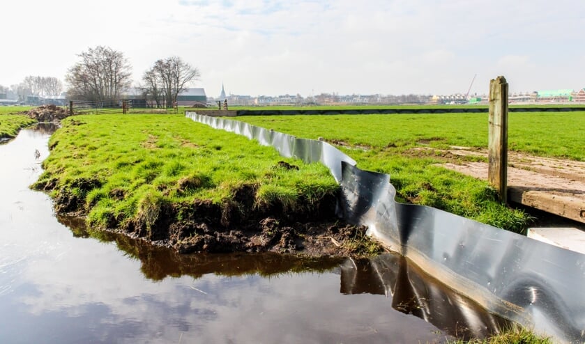 De Bloemendalerpolder.