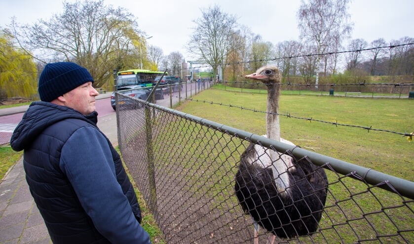 Wie is hier het nieuwsgierigste?