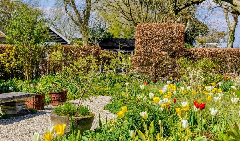 De tuin is nu op haar mooist.