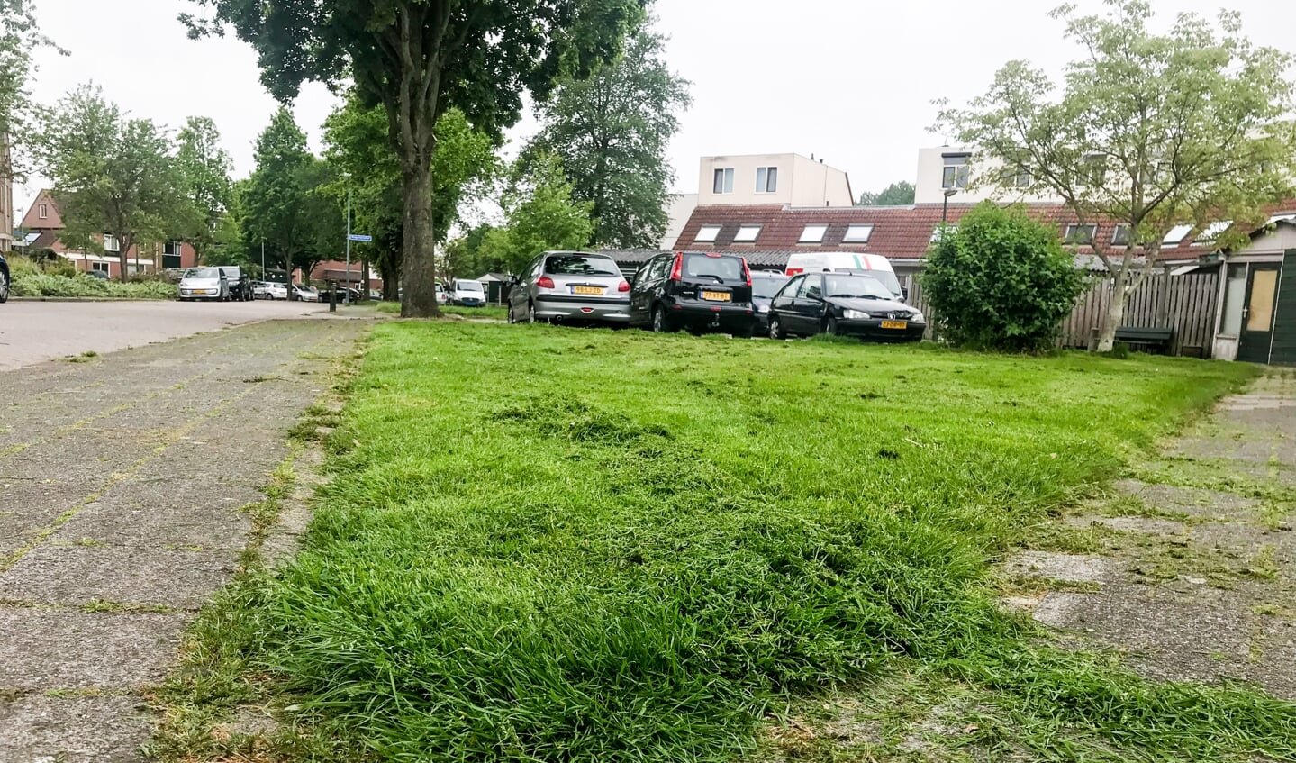 Van de gemeente mag het allemaal wel wat groener in Weesp.
