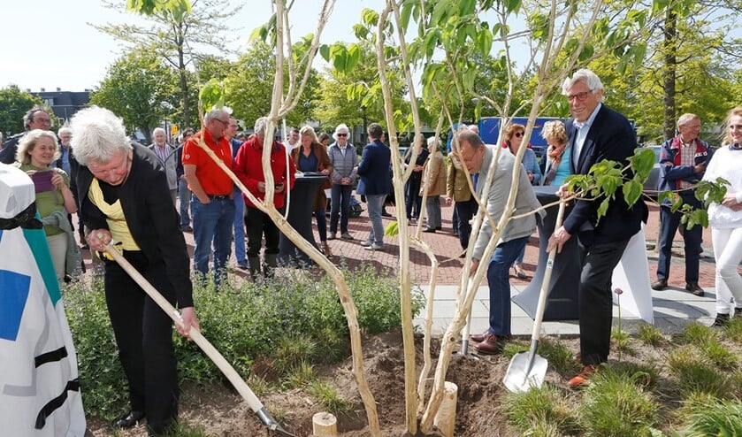 De drachtboom bij het BEL-kantoor in Eemnes.