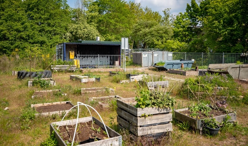 De moestuinen met op de achtergrond de container.