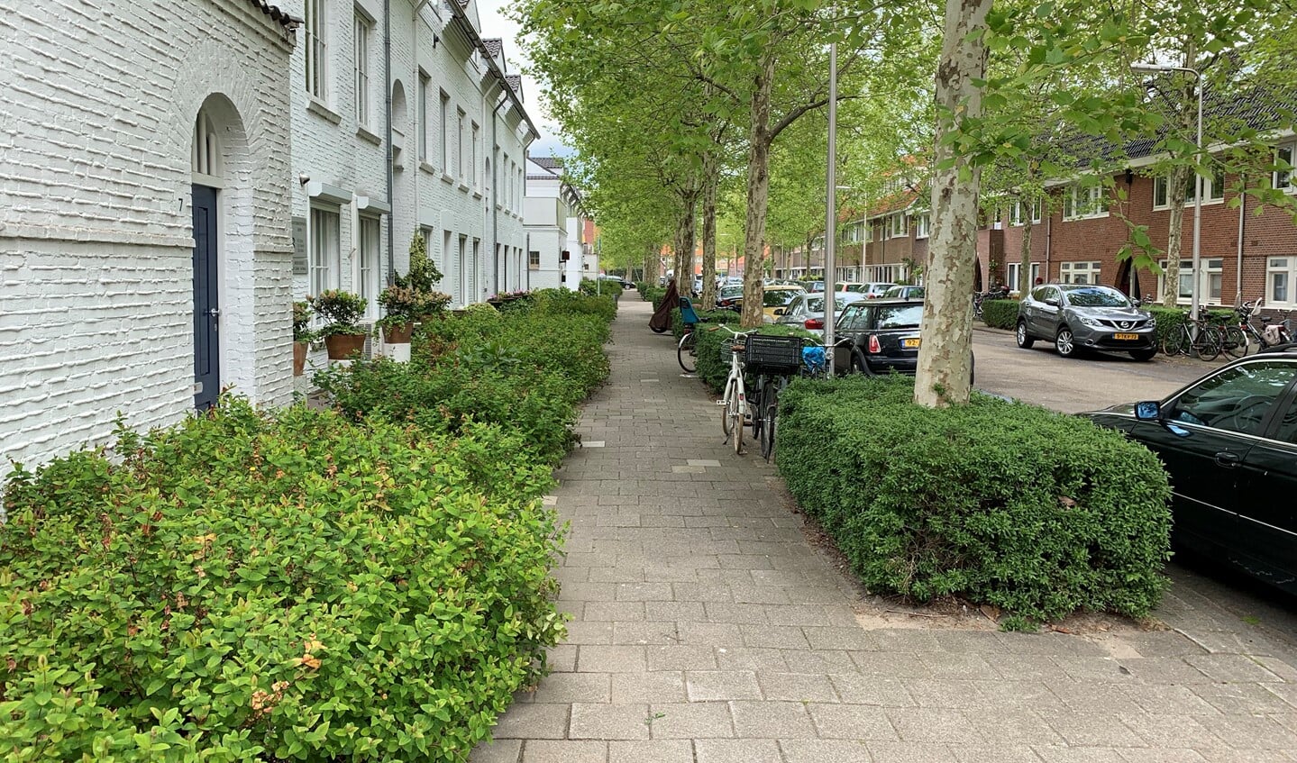 De Jan Bertsstraat is een van de straten waar struikelstenen worden gelegd.