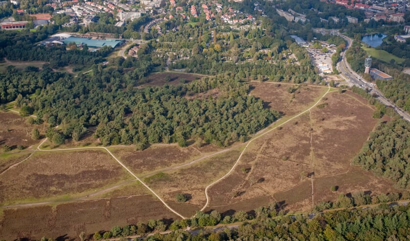 In en rond de hei en het bos is het brandgevaar hoog door droogte.