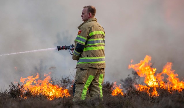 Heidebrand in Hilversum, eerder dit jaar.