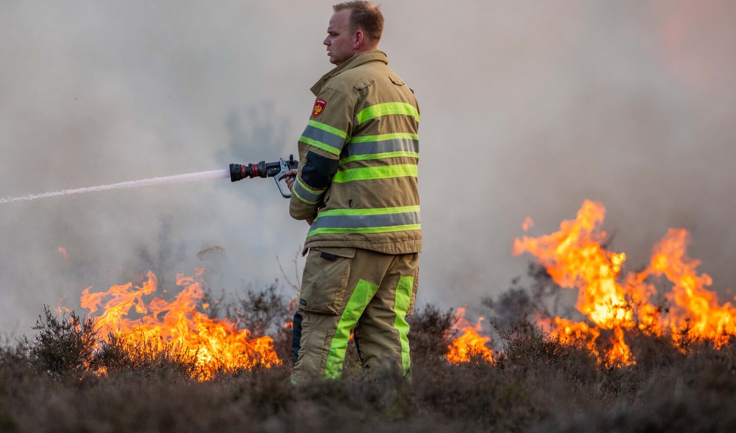 Heidebrand in Hilversum, eerder dit jaar.
