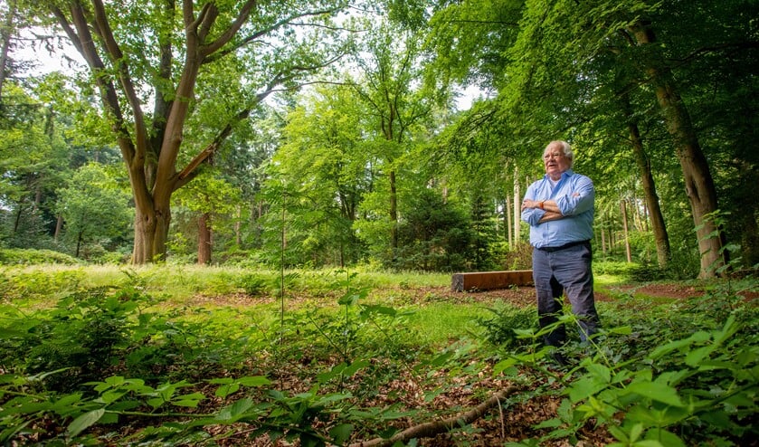 De favoriete plek van Bert Barkmeijer is bij deze boom. 'Sprookjesachtig.'