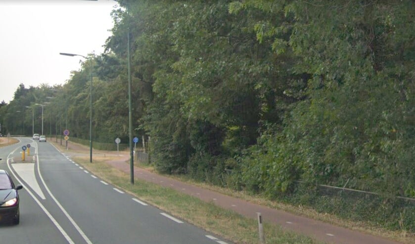 De oversteekplaats op de Crailoseweg ter hoogte van de Museumlaan.