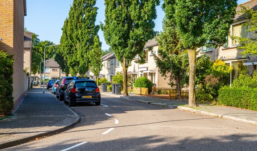 Het voorstel voor zestien extra parkeerplekken zorgt voor een verdeeld Calvijnhof.