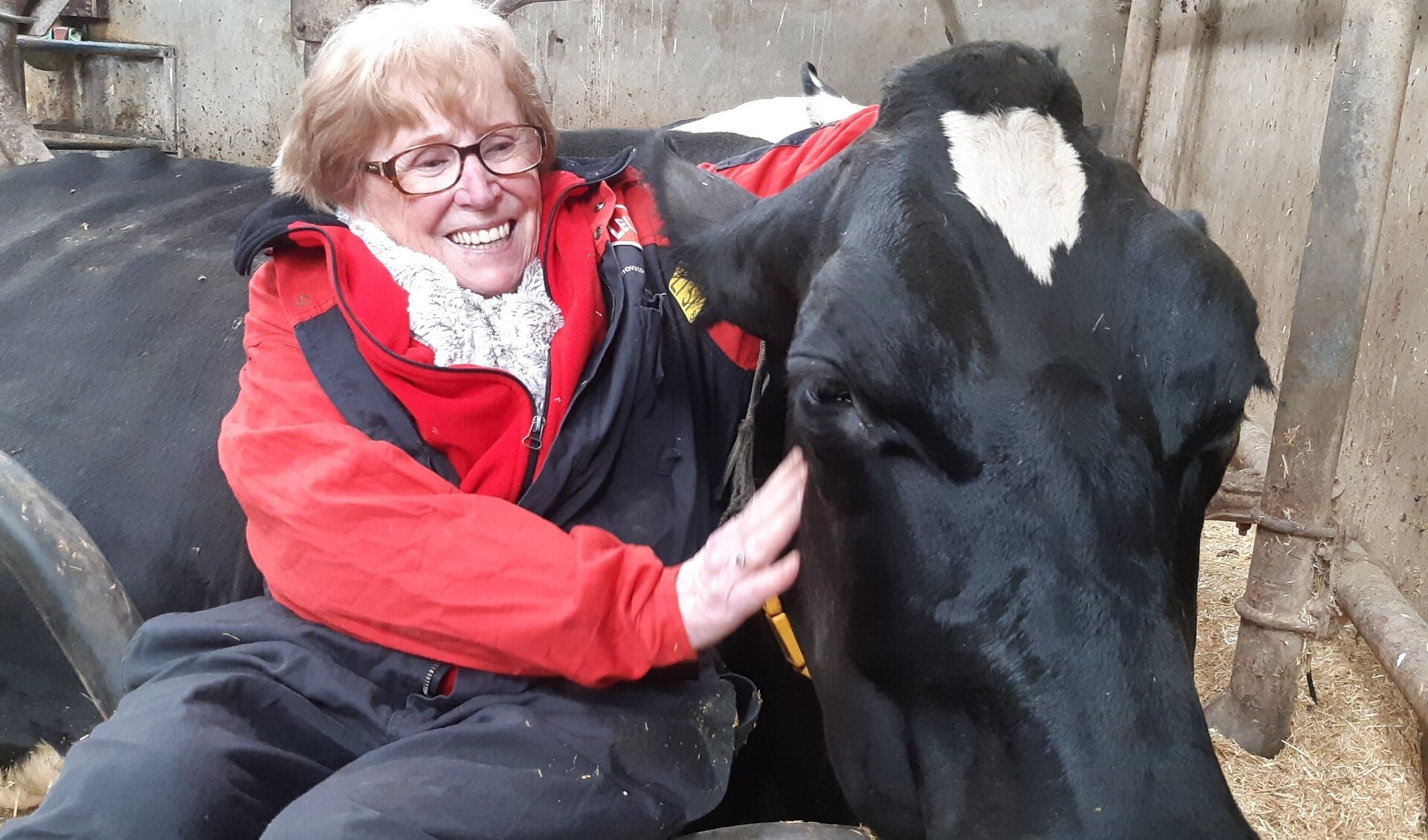 De 87-jarige Ria samen met koe Merel.