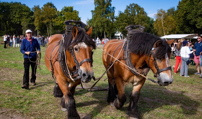 <p>Vanwege de beperkende maatregelen voor het coronavirus, gaat de dag dit jaar niet door.</p>
