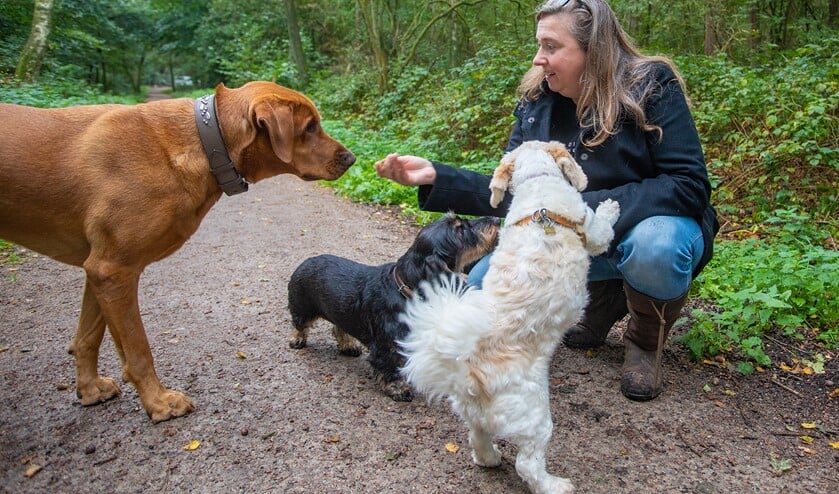 <p>Jessica Pijpers van VIP Dogs and Cats uit Bussum vreest voor de toekomst van de hondenuitlaatservices in het Gooi.</p>