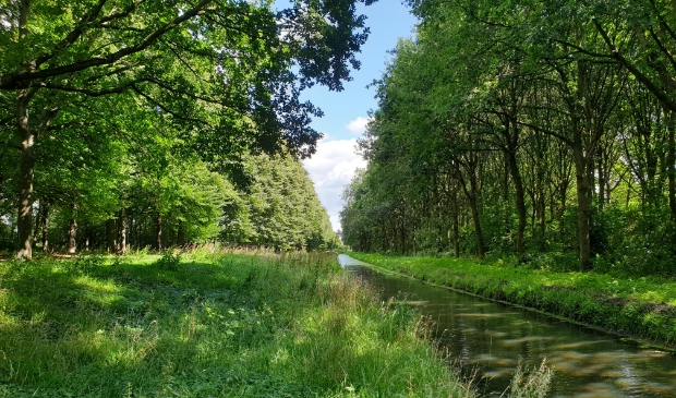 <p>De watergang zou moeten worden verplaatst voor de aanleg van de snelle bus en dat betekent ook dat er bomen sneuvelen.</p>