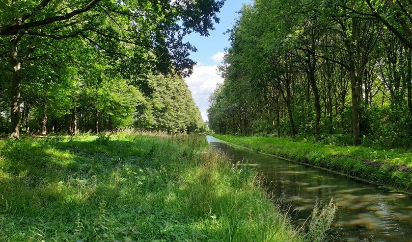 <p>De watergang zou moeten worden verplaatst voor de aanleg van de snelle bus en dat betekent ook dat er bomen sneuvelen.</p>