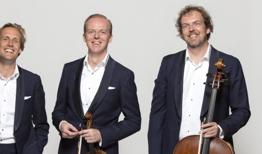 <p>Het Storioni Trio.</p>