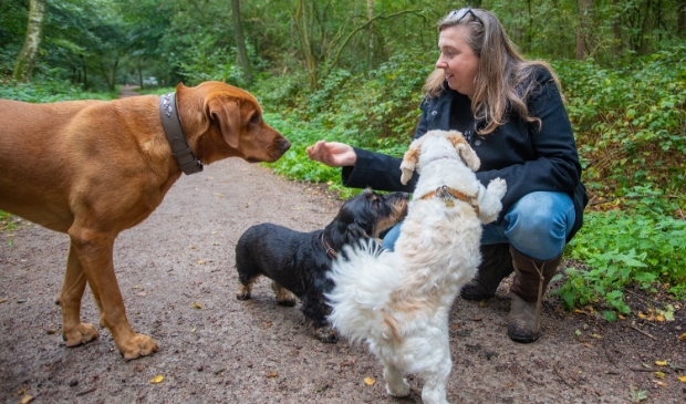 <p>Jessica Pijpers van VIP Dogs and Cats uit Bussum vreest voor de toekomst van de hondenuitlaatservices in het Gooi. </p>