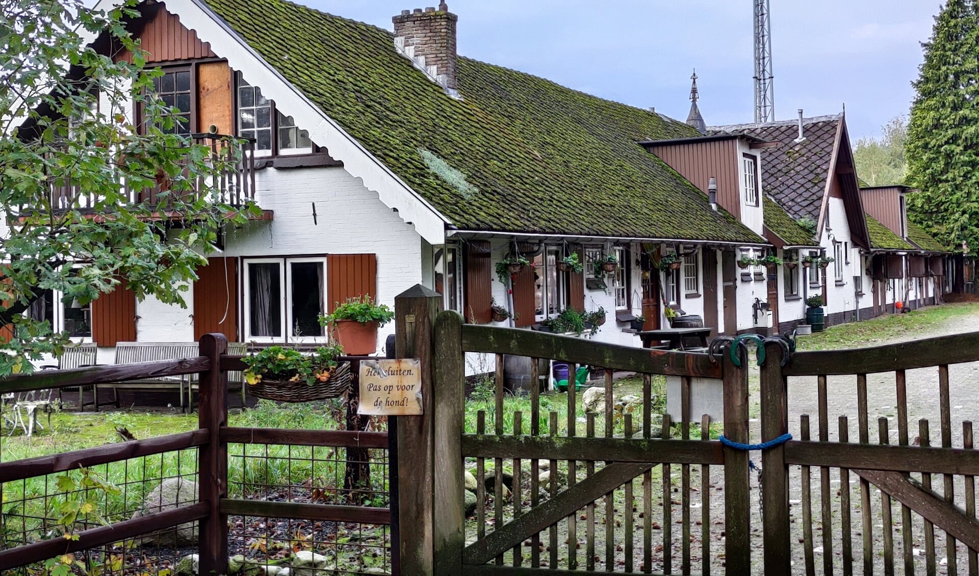 De nog bestaande restanten van de voormalige paardenrenbaan op Cruysbergen.  