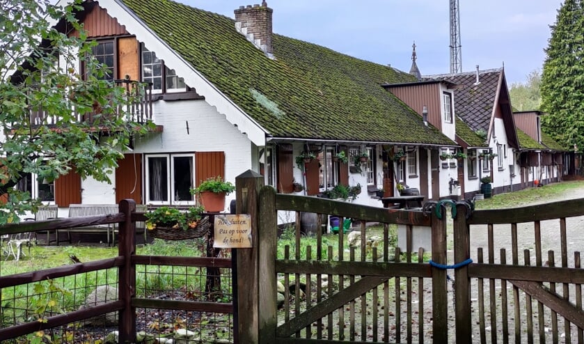 <p>De nog bestaande restanten van de voormalige paardenrenbaan op Cruysbergen. </p>