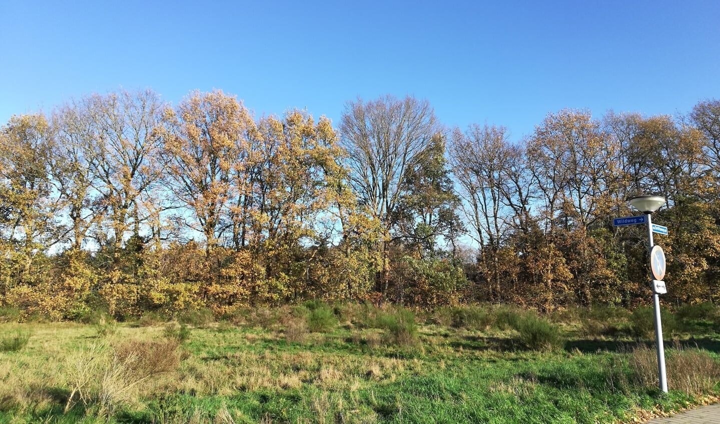 Ook de lagere woontoren zal door de omringende bomen heen te zien zijn, zeker in de winterperiode wanneer er minder blad is, geeft Stichting Naarder Eng aan.