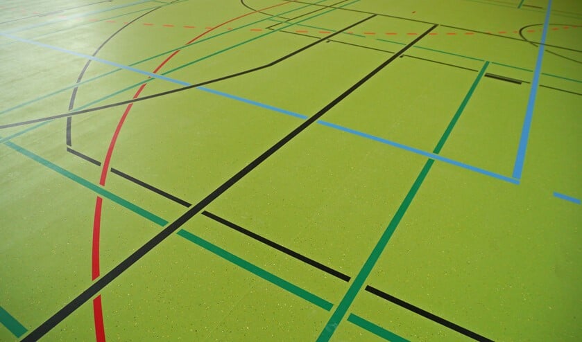 <p>Geld om een extra zaal te huren om in kleinere groepen te kunnen sporten is een van de mogelijkheden. </p>