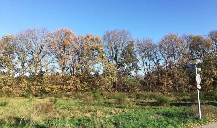 <p>Ook de lagere woontoren zal door de omringende bomen heen te zien zijn, zeker in de winterperiode wanneer er minder blad is, geeft Stichting Naarder Eng aan. </p>